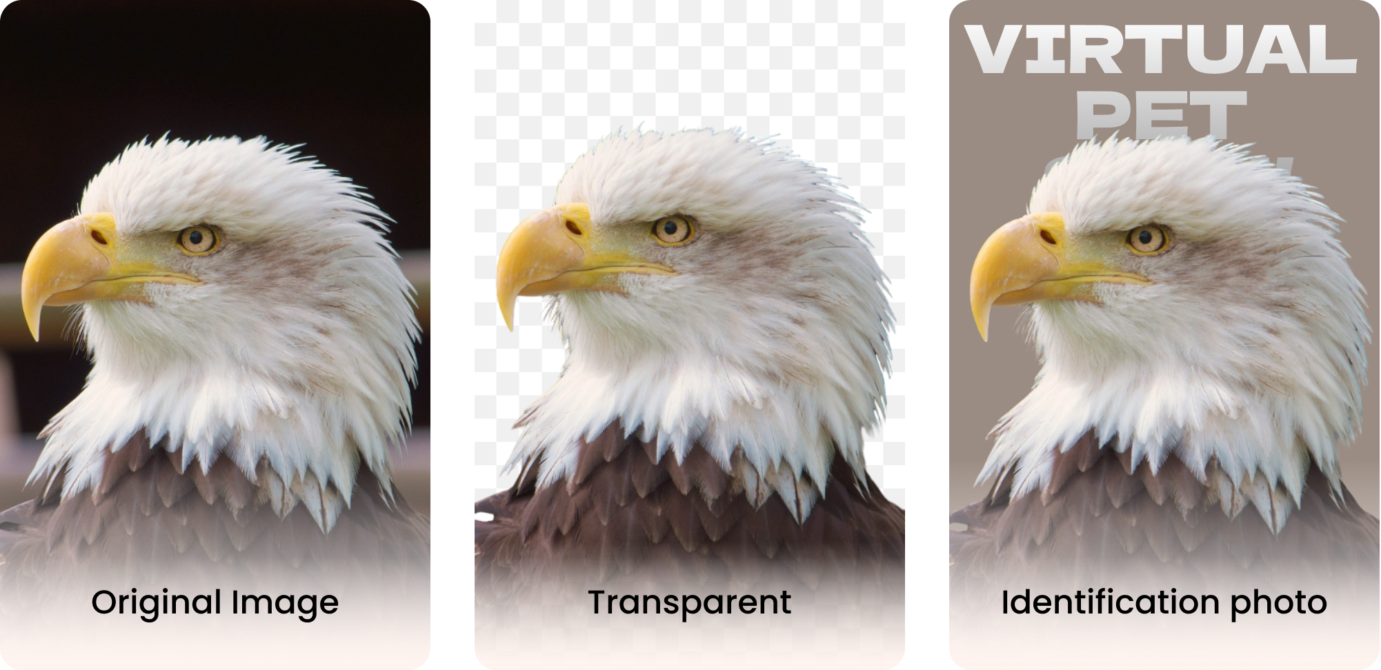 transparent image maker