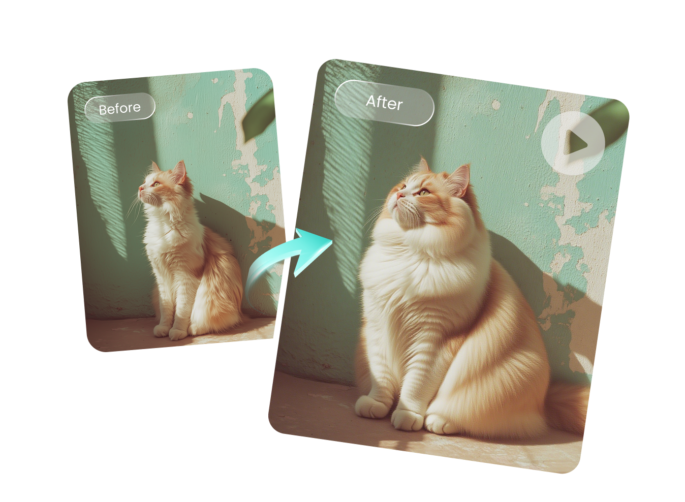 transfer image to ai inflate video