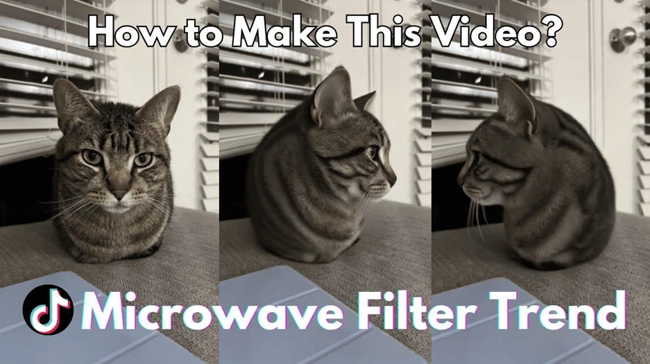 hitpaw source