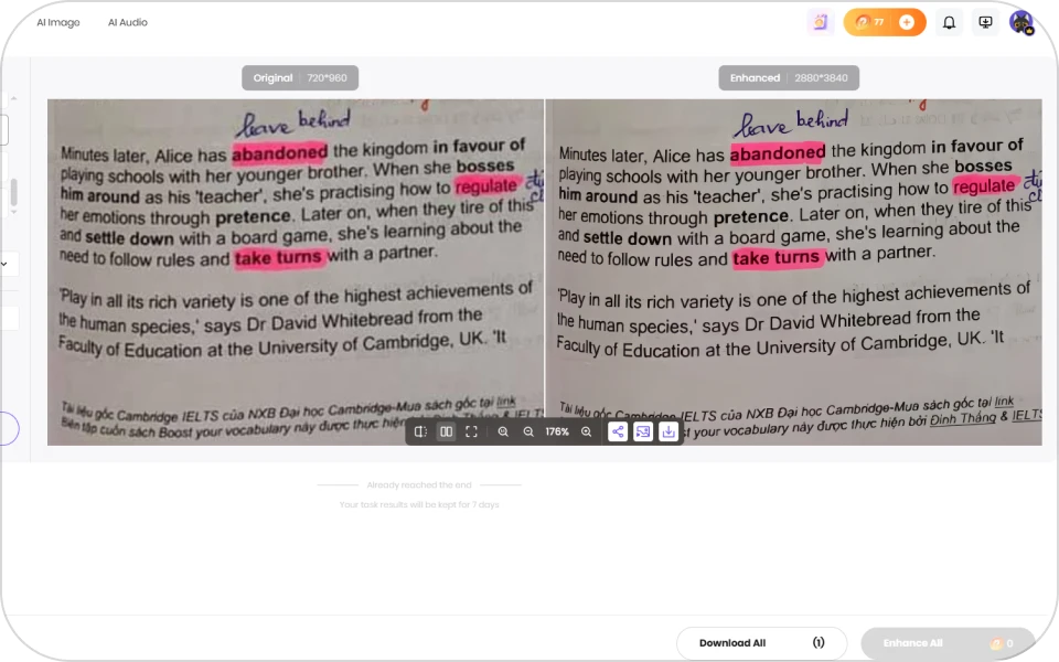 Preview and download high-quality photo with hitpaw online document cleaner