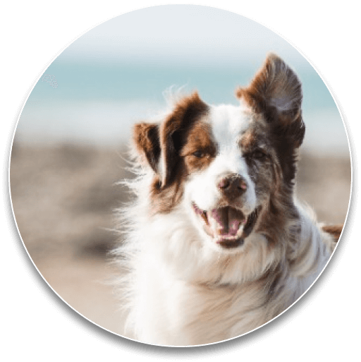 ai audio enhancer online free