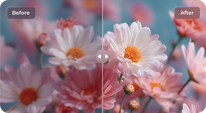 enhance nature shots online