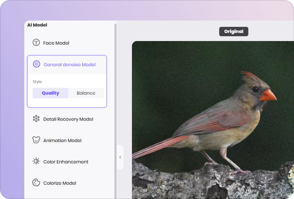 choose ai video enhancement model