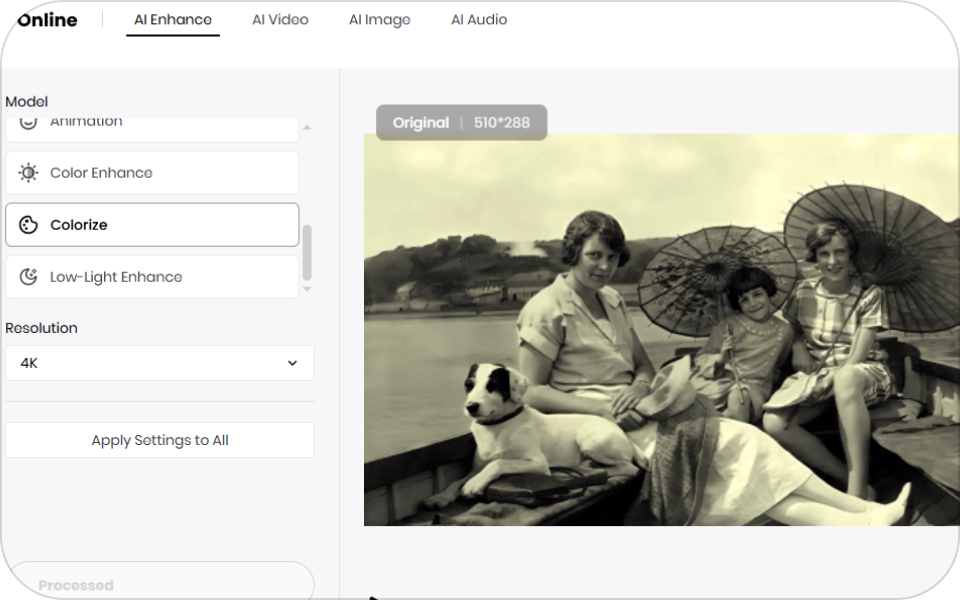 choose colorize model