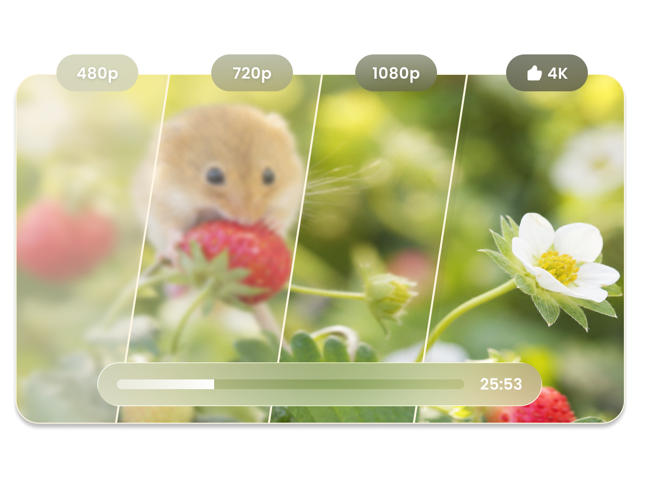Enhance video quality with AI sharpening