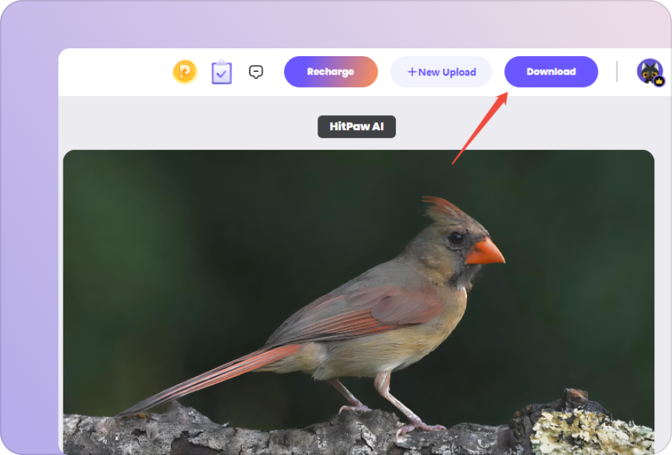 export enhanced video file
