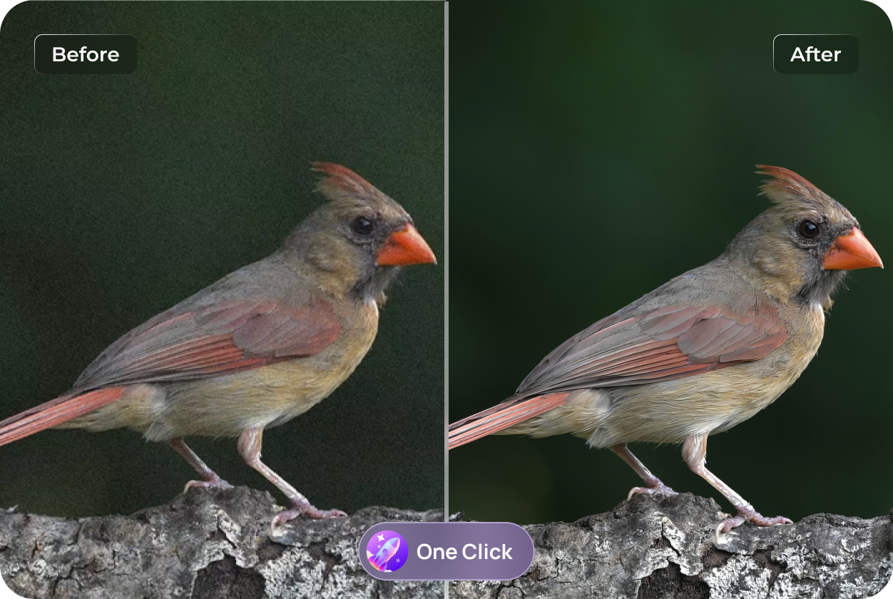 deep noise reduction & low-light enhancement