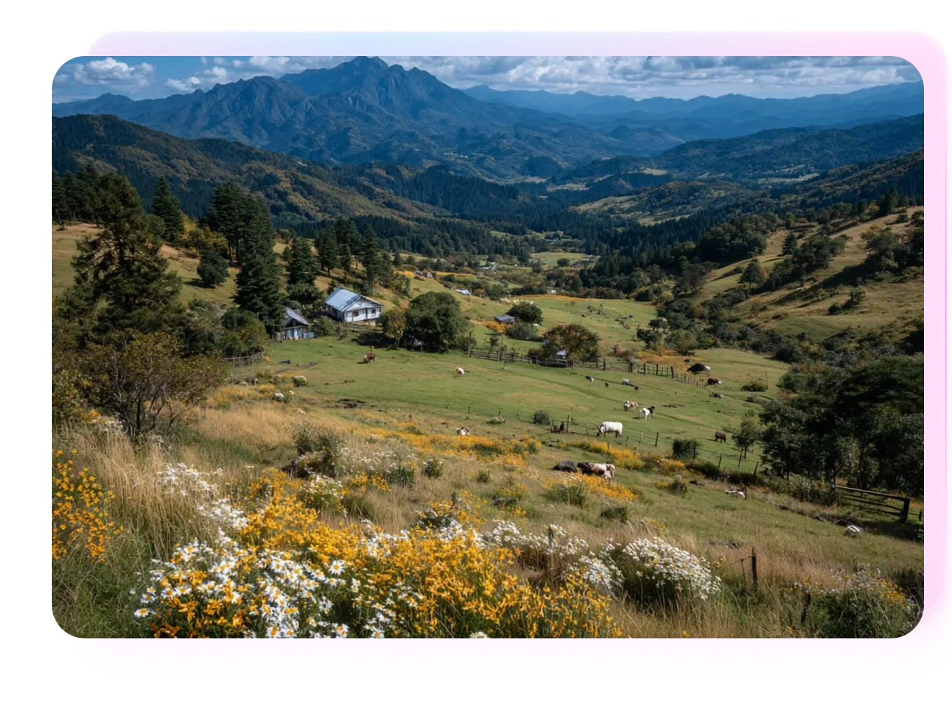 Qwen AI Video Generator