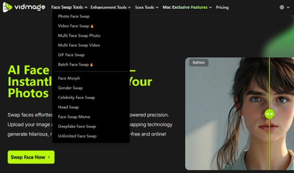 vidmage ai face swap key features