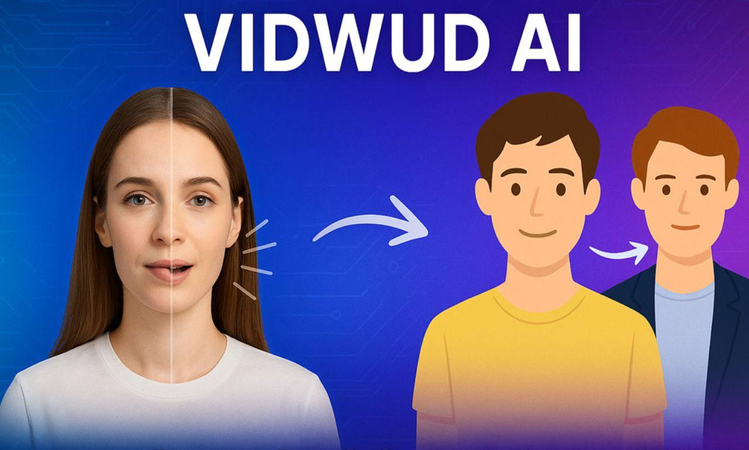 overview of vidwud face exchange tool