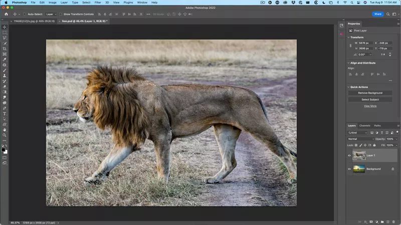 adjusting image size