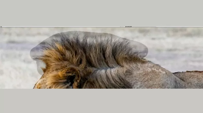 masking image edges