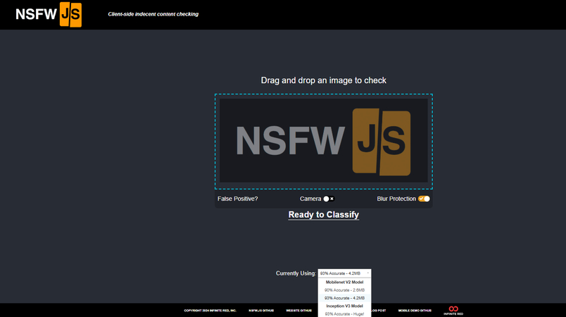 NSFW JS NSFW image detector