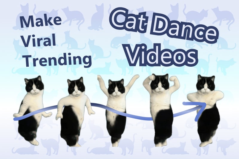 ai cat dance generator