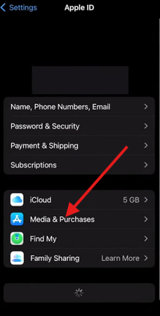 Media & Purchases option on iPhone