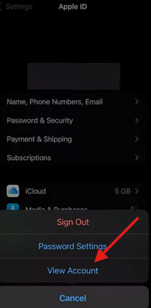 View Account option on iPhone