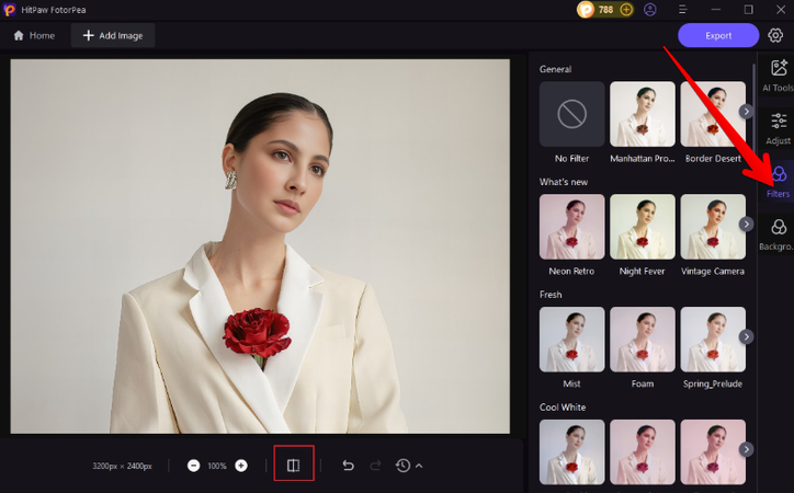 HitPaw FotorPea photo filters