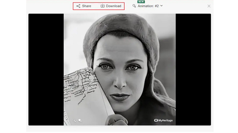 Downloading the Animation