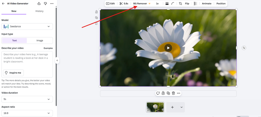 Canva AI video background remover