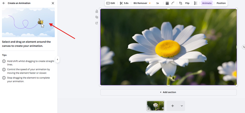 Custom animation in Canva AI-generated video