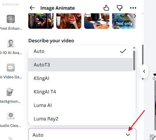 Models in Canva AI Image to Video Animate