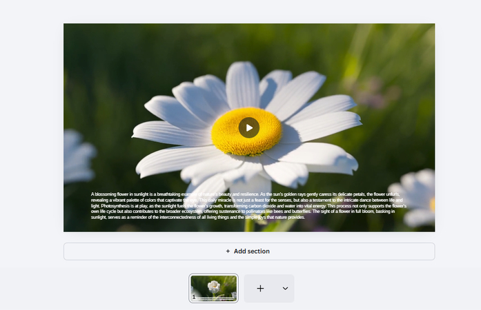 Using Magic writer with Canva AI-generated video