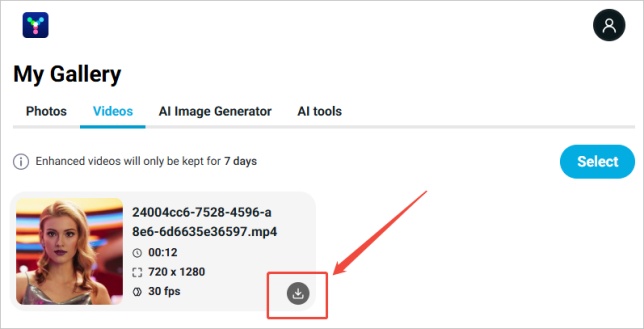 export swapped video files