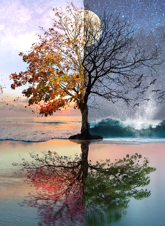 Fantasy photographer Natacha Einat