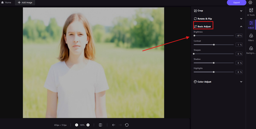 Lowering the brightness of an overexposed photo