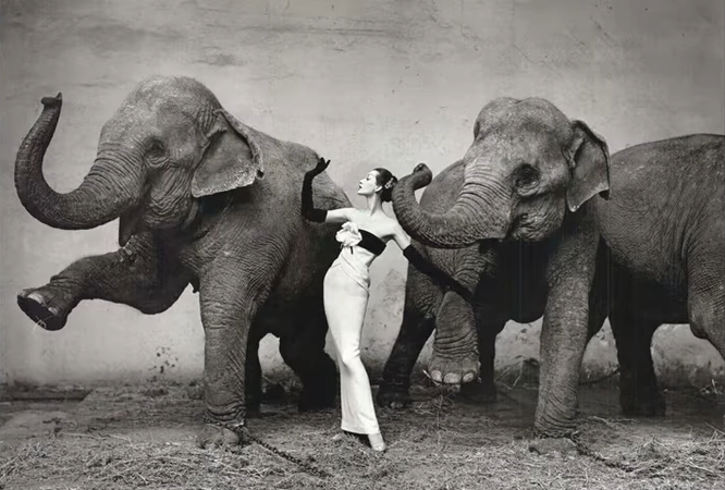 Richard Avedon's black and white photography