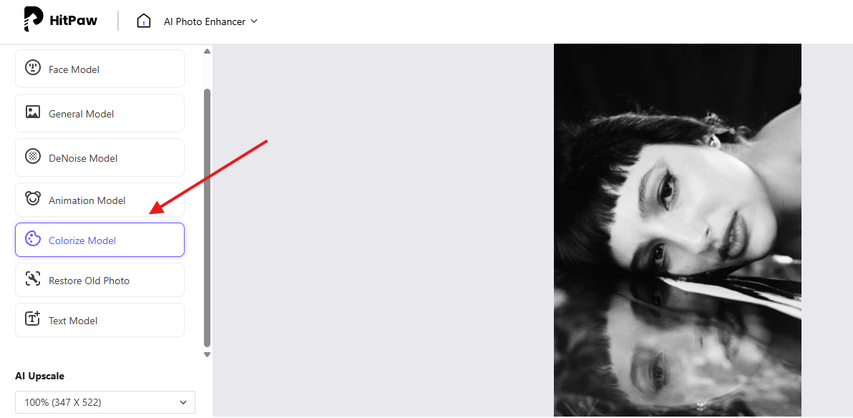 Selecting the Colorize model to color the black & white photo