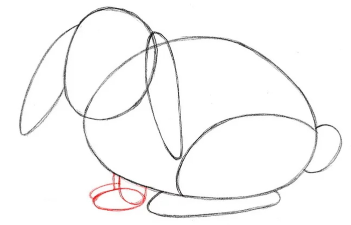 sketching front legs and paws of bunny