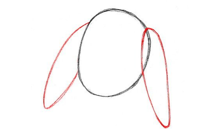 sketching long ears for easter bunny