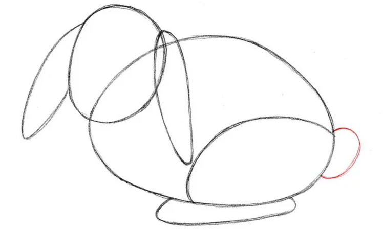 adding fluffy tail to easter bunny