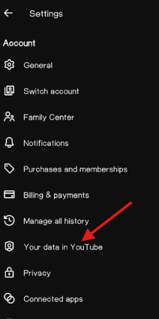 Your data in YouTube option