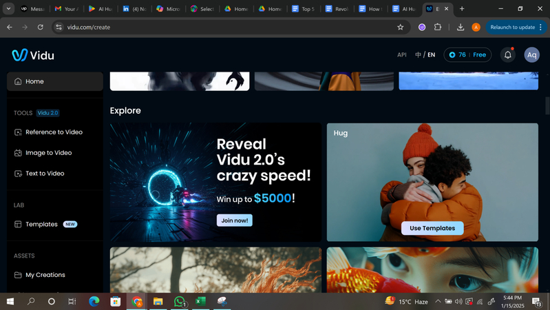 vidu studio's website