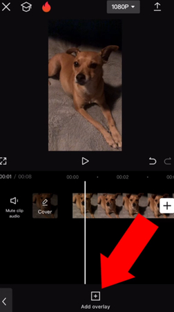 CapCut Add overlay option
