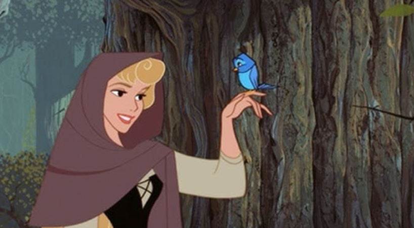 Female Disney Cartoon Character Aurora