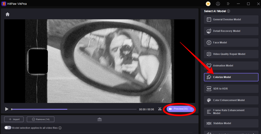hitpaw-vikpea-colorize-model
