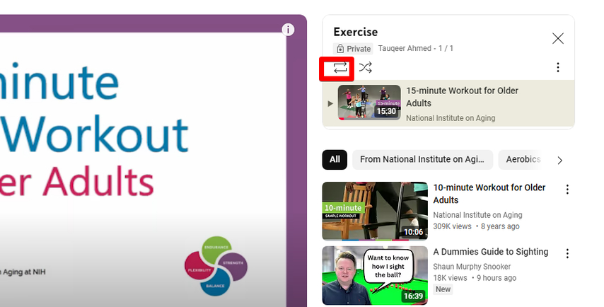 loop-youtube-videos-in-playlist
