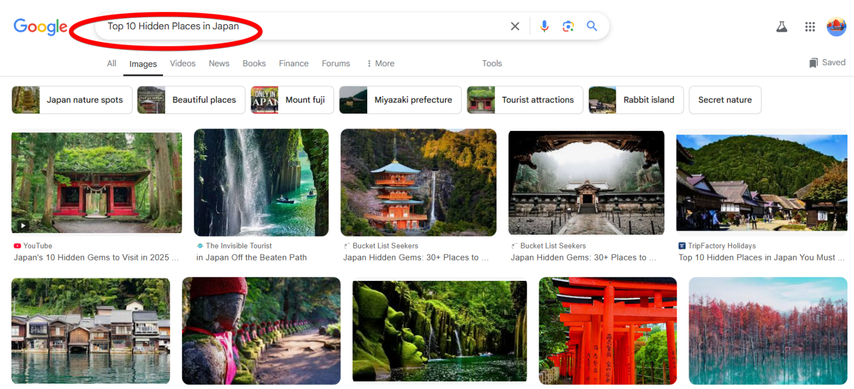 searching-google-images-to-find-deleted-youtube-video