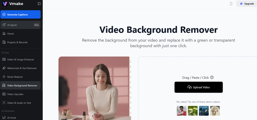 Vmake Video Background Remover