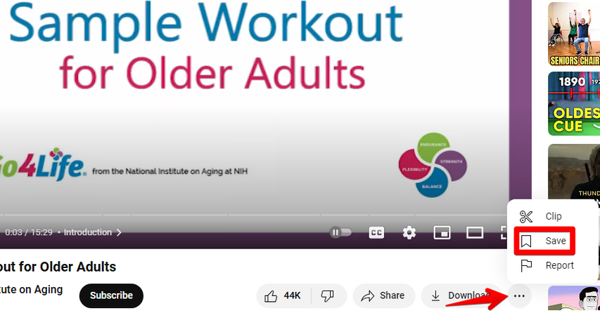 youtube-video-save-menu