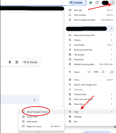 About Google Chrome option