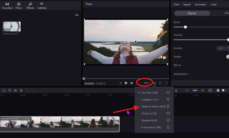 Adjusting aspect ratio for the TikTok video in HitPaw Edimakor