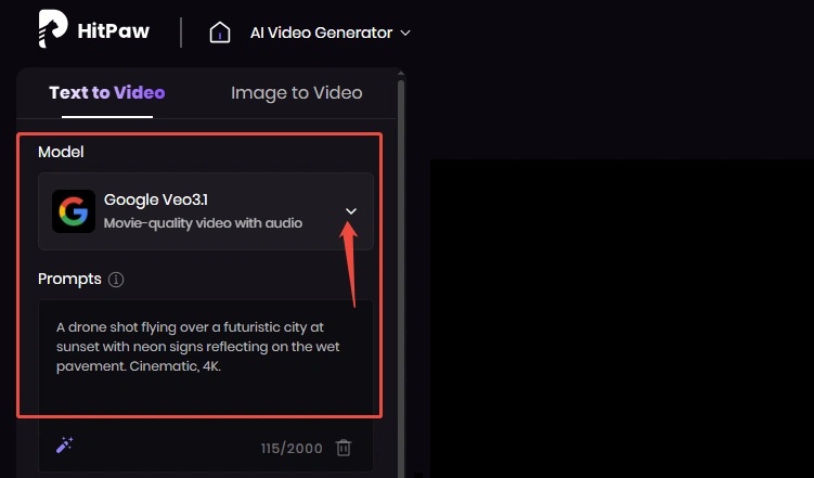 enter your video prompts