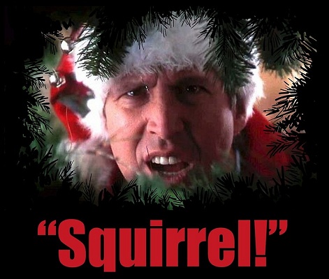 Squirrel Attack Meme