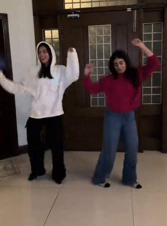 Cultural remixes of the APT dance video challenge