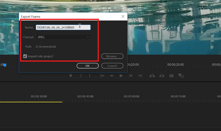 Customizing settings for the exported frame