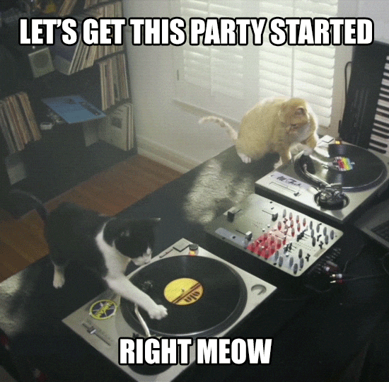 dj cat scratching the birthday tracks